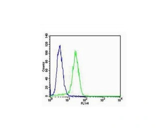 Integrin alpha V + beta 3 anti