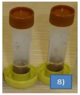 德国Sarstedt 粪便采集管让我们收集粪便更便捷