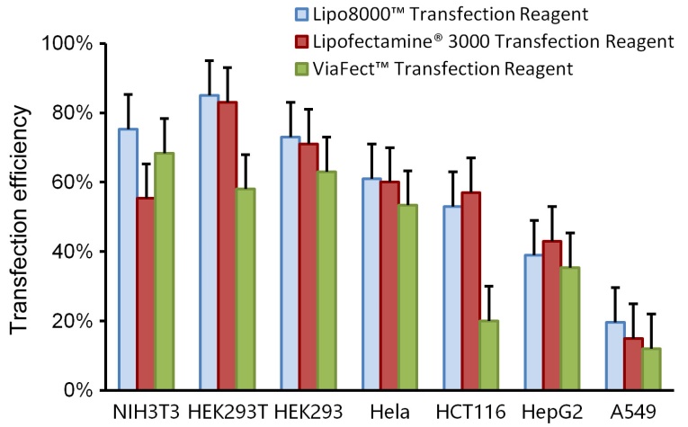Lipo8000™转染试剂