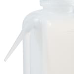 Nalgene™ Unitary™ LDPE 洗瓶