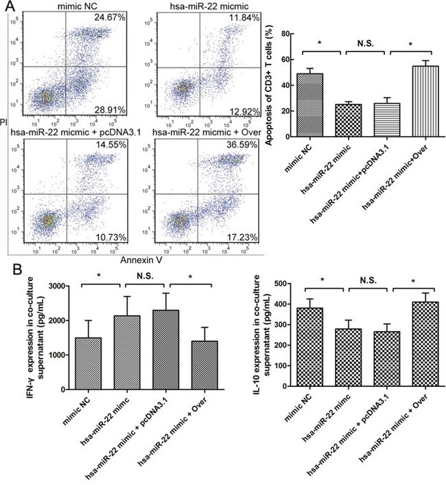 CD3 Antibody
