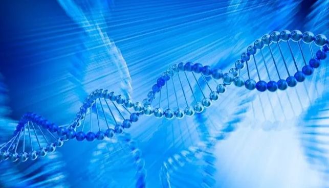 干货分享 | Q-PCR干粉引物，如何溶解？保存温度和时间是多少？