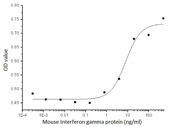Mouse Interferon gamma protein