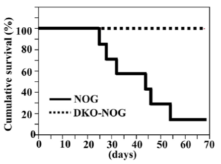 b606bf3159de4407b690bff1571ab727.png b606bf3159de4407b690bff1571ab727.png