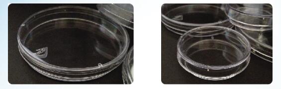 本生生物培养皿