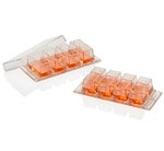Thermo Scientific™ Nunc™ Lab-Tek™ 腔室盖玻片
