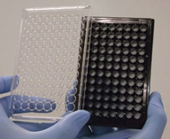 201582192356.png 201582192356.png