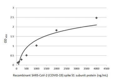 SARS-CoV-2 (COVID-19) Spike an