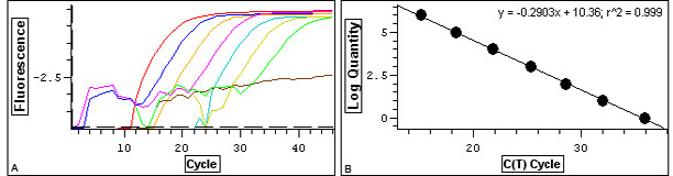 TaqMan荧光定量qPCR Mix TaqMan qPCR Mix