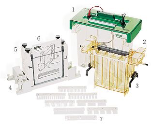20200827104928_93981.jpg 大型垂直电泳槽-1.jpg