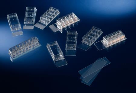 用于170920的盖玻片    171862