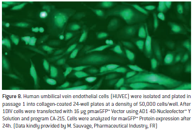 20190610103909_42639.png 12.png