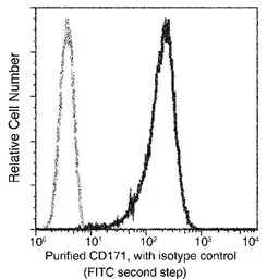 L1CAM antibody [014]