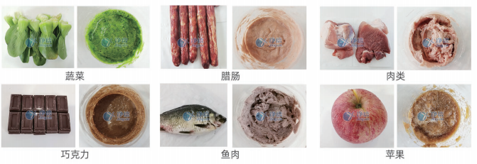 多功能均质仪 JXHG-32