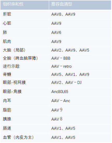 组织特异性AAV（心、肝、肺、肾、神经、眼、肌肉、脂肪等）