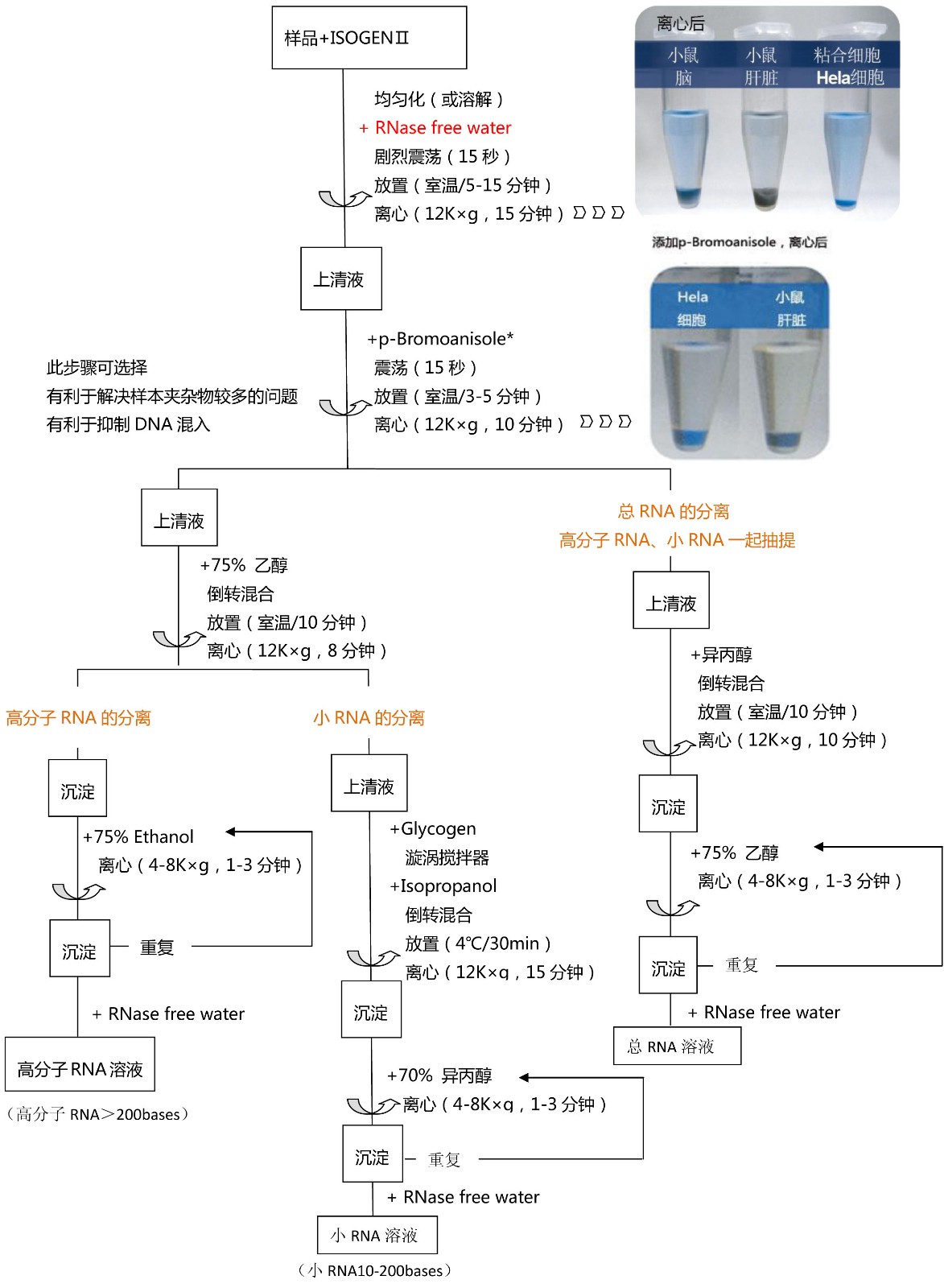0314702179137777.jpg 0314702179137777.jpg