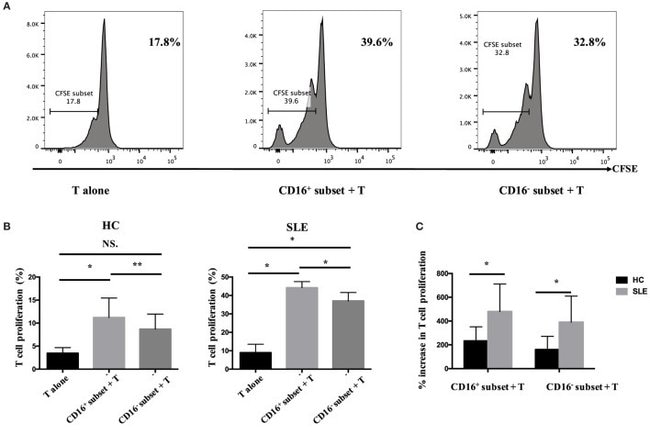 CD3 Antibody