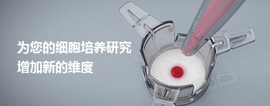 201582192297.jpg 1.jpg