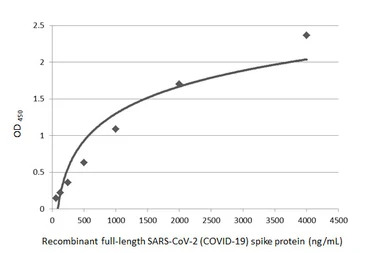 SARS-CoV-2 (COVID-19) Spike an