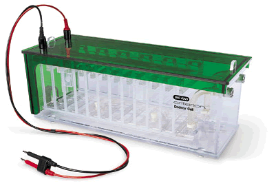 Criterion Dodeca 高通量电泳槽.gif