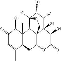 13α，21 二氢宽缨酮129587-06-0