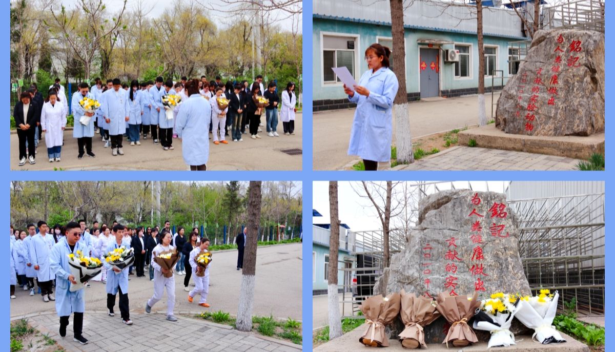 4月24日世界实验动物日：让我们向它们致敬！