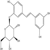 白皮杉醇-3'-O-β-D-吡喃葡萄糖苷94356-26-0