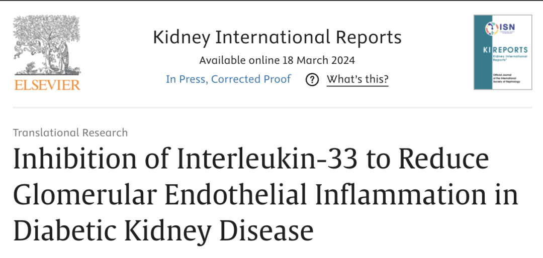 LabEx推荐丨IL-33单抗 - 糖尿病肾病（DKD）