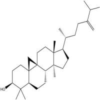 24-亚甲基阿尔廷醇1449-09-8
