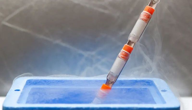 干货分享 | 实验样本保存的6条吐血经验