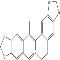 甲基黄连碱38763-29-0