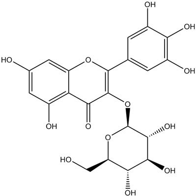 杨梅素-3-O-β-D-葡萄糖苷19833-12-6