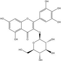 杨梅素-3-O-β-D-葡萄糖苷19833-12-6