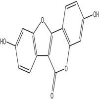拟雌内酯479-13-0