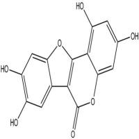 去甲蟛蜞菊内酯6468-55-9