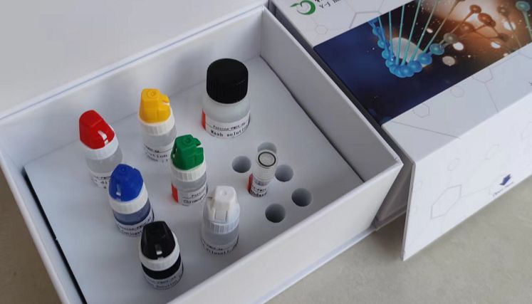 猪轮状病毒抗体（RV-Ab）ELISA检测试剂盒