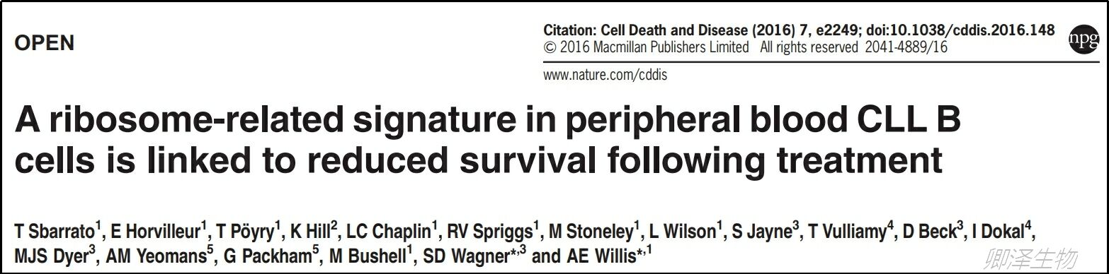 血细胞中Polysome profiling的分析研究