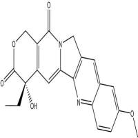 10-甲氧基喜树碱19685-10-0