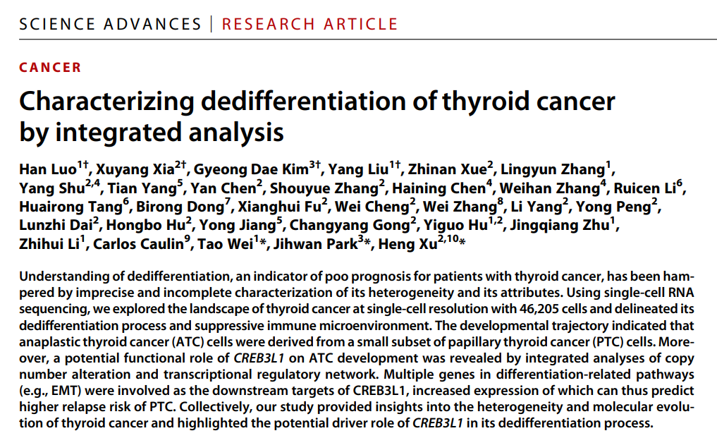 文献解读｜甲状腺癌去分化的综合分析