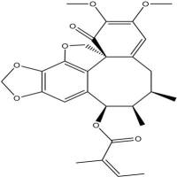 异型南五味子丁素140369-76-2