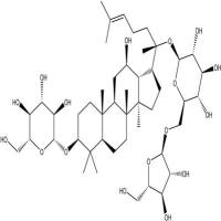 三七皂苷Fe88105-29-7