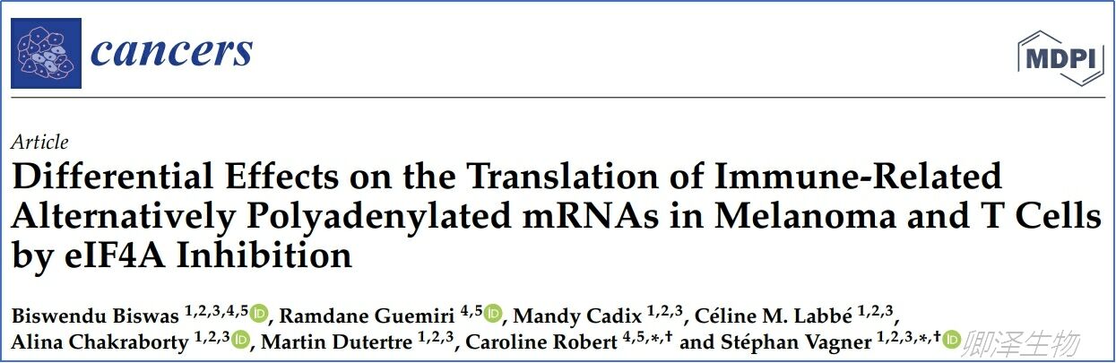 血细胞中Polysome profiling的分析研究
