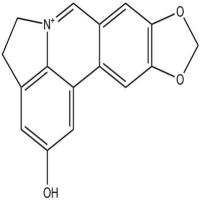 氧化石蒜碱72510-04-4