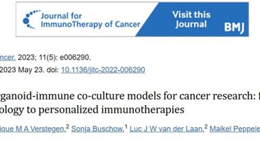 研究进展 I 类器官-免疫共培养模型：从肿瘤免疫学到个性化免疫疗法
