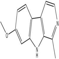 去氢骆驼蓬碱442-51-3