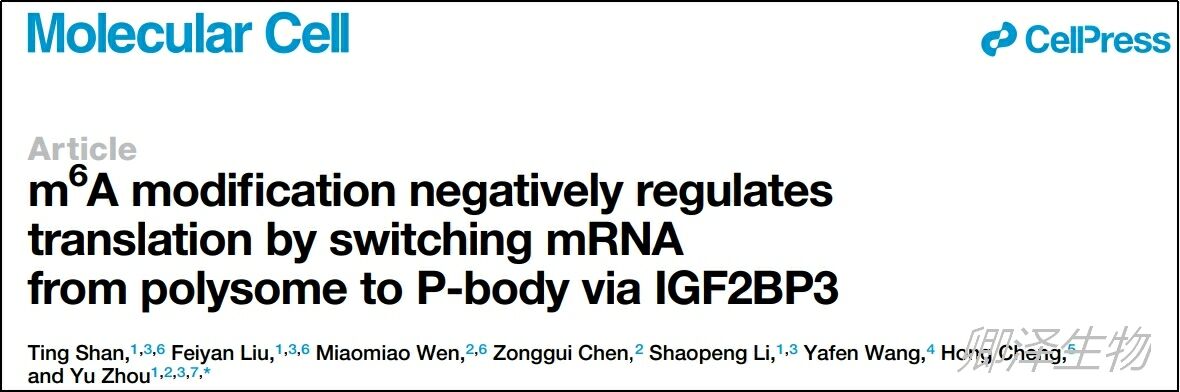 Mol Cell. | m6A负向调控翻译的机制研究