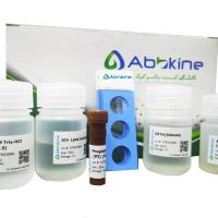 彗星法DNA损伤分析试剂盒（3孔载玻片）