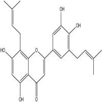 朝藿素B161068-53-7