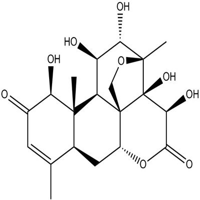 鸦胆子苦素D21499-66-1