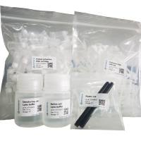 ExKine™ Pro动物细胞/组织总蛋白提取试剂盒（柱式法）